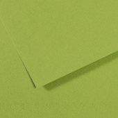 Бумага для пастели CANSON "Mi-Teintes" 21x29,7 см, 160 г, №475 Зеленое яблоко 