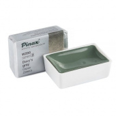 Акварель Pinax в кювете 2,5 мл W295 Серая Дэвиса Акварель Pinax в кювете 2,5 мл W295 Серая Дэвиса