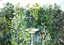 Декупажная карта 50х70см., тема Сад "Maimeri" Декупажная карта 50х70см., тема Сад "Maimeri"