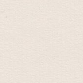 Картон для паспарту (82 х 112 х 0,17 см.) "Royal Moorman"