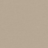 Картон для паспарту (82 х 112 х 0,17 см.) "Royal Moorman"