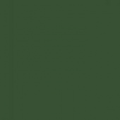 Карандаш акваграфитный Graphiting D8мм. гриф.-4мм. 10 Луговой "Derwent"