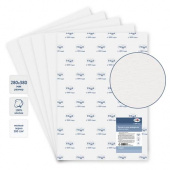 Бумага для акварели, (1 лист, упак 10л.) 280*380мм, "Студия", 300г/м2, мелкое зерно, 100% хлопок