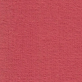 Картон для паспарту (82 х 112 х 0,17 см.) "Royal Moorman"