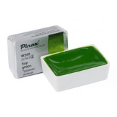 Акварель Pinax в кювете 2,5 мл W243 Травяная зеленая Акварель Pinax в кювете 2,5 мл W243 Травяная зеленая