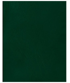 Тетрадь 96л., А5 клетка BG, бумвинил, зеленый, суперэконом