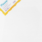 Холст грунтованный на картоне Pinax хлопок 100% плотн. 280 гр. 50х50см. Холст грунтованный на картоне Pinax хлопок 100% плотн. 280 гр. 50х50см.