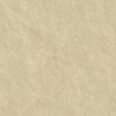 Картон для паспарту (81,3 х 101,6 х 0,17 см.) "Золото" "Royal Moorman"