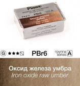 Акварель Pinax "ЭКСТРА" в кювете 2,5 мл PBr6 Оксид железа умбра Акварель Pinax "ЭКСТРА" в кювете 2,5 мл PBr6 Оксид железа умбра