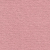 Картон для паспарту (82 х 112 х 0,17 см.) "Royal Moorman"