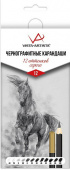 Набор чернографитных карандашей VISTA-ARTISTA "12 оттенков серого" заточенный 12 шт. ассорти 4H-10B