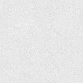 Бумага тисненная "Скорлупа" 200гр 620х940мм (Гознак) (1л.) (Уп. 400л.)