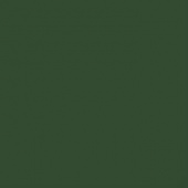 Карандаш акваграфитный Graphiting D8мм. гриф.-4мм. 09 Зеленый серый "Derwent"