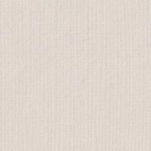 Картон для паспарту (82 х 112 х 0,17 см.) "Royal Moorman"