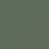 Картон для паспарту (82 х 112 х 0,17 см.) "Royal Moorman"