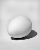 Гипсовая фигура яйцо, 14х20см Гипсовая фигура яйцо, 14х20см