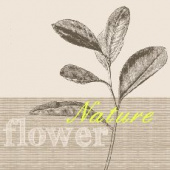 Салфетка трехслойная 33*33 "Природа" (1шт.) (Уп. 20шт) Салфетка трехслойная 33*33 "Природа" (1шт.) (Уп. 20шт)