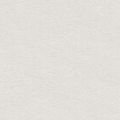 Картон для паспарту (82 х 112 х 0,17 см.) "Royal Moorman"