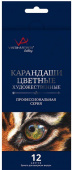 Набор цветных карандашей заточенный 12 цв. "VISTA-ARTISTA" "Gallery" VGCP-12