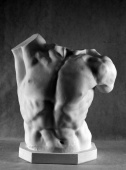 Гипсовая фигура торс Лаокоона, 68см Гипсовая фигура торс Лаокоона, 68см