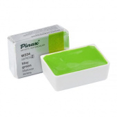 Акварель Pinax в кювете 2,5 мл W234 Майская зелень Акварель Pinax в кювете 2,5 мл W234 Майская зелень